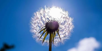 币圈必备App推荐,提升你的数字货币投资效率