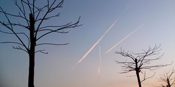 币圈必备App推荐,提升你的数字货币投资效率