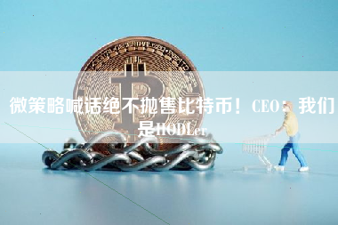 微策略喊话绝不抛售比特币！CEO：我们是HODLer