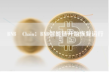 BNB Chain：BNB智能链开始恢复运行