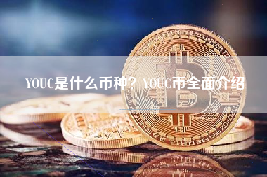 YOUC是什么币种？YOUC币全面介绍