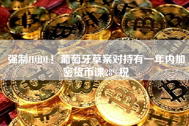 强制HODL！葡萄牙草案对持有一年内加密货币课28%税