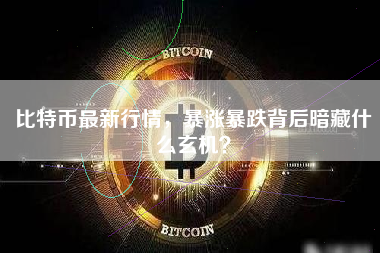 比特币最新行情,暴涨暴跌背后暗藏什么玄机? 比特币最新行情,暴涨暴跌背后暗藏什么玄机?
