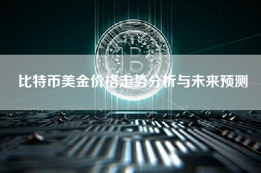 比特币美金价格走势分析与未来预测 比特币美金价格走势分析与未来预测