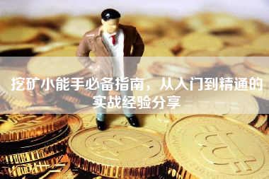 挖矿小能手必备指南，从入门到精通的实战经验分享