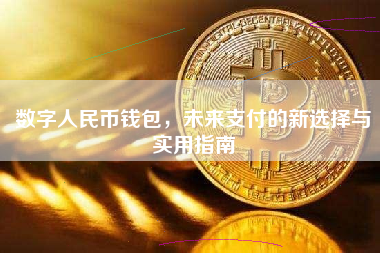 数字人民币钱包，未来支付的新选择与实用指南