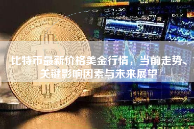 比特币最新价格美金行情，当前走势、关键影响因素与未来展望