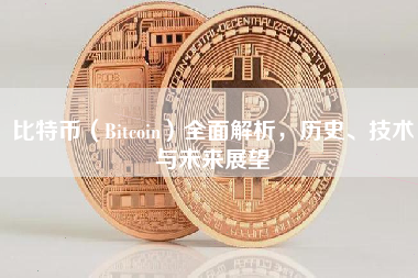 比特币(Bitcoin)全面解析,历史、技术与未来展望 比特币(Bitcoin)全面解析,历史、技术与未来展望