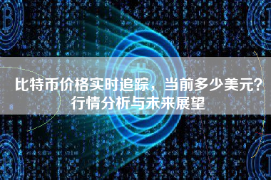 比特币价格实时追踪,当前多少美元?行情分析与未来展望