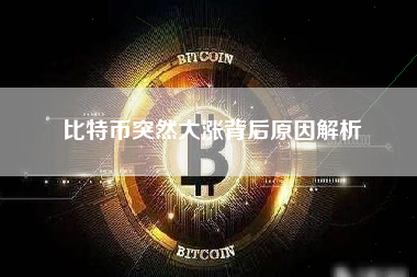比特币突然大涨背后原因解析