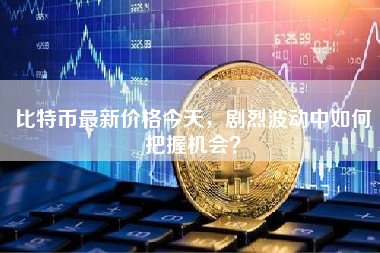 比特币最新价格今天，剧烈波动中如何把握机会？