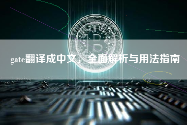 gate翻译成中文，全面解析与用法指南