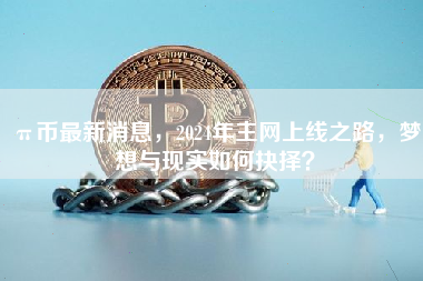 π币最新消息，2024年主网上线之路，梦想与现实如何抉择？