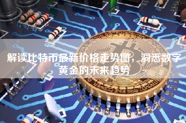 解读比特币最新价格走势图，洞悉数字黄金的未来趋势
