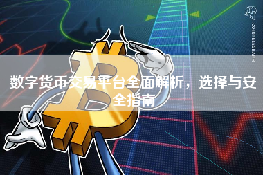 数字货币交易平台全面解析，选择与安全指南
