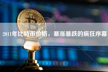 2011年比特币价格，暴涨暴跌的疯狂序幕