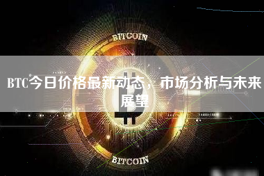 BTC今日价格最新动态，市场分析与未来展望