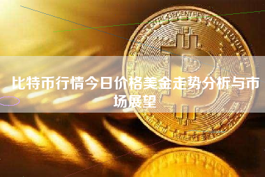 比特币行情今日价格美金走势分析与市场展望