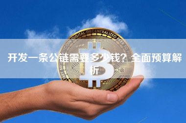 开发一条公链需要多少钱？全面预算解析