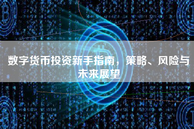 数字货币投资新手指南，策略、风险与未来展望