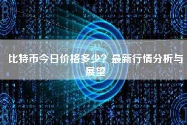 比特币今日价格多少？最新行情分析与展望