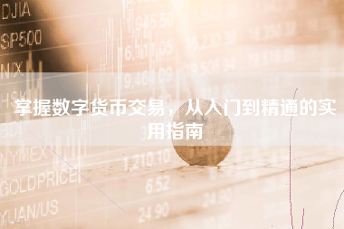 掌握数字货币交易，从入门到精通的实用指南