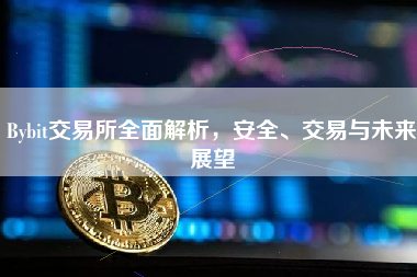 Bybit交易所全面解析，安全、交易与未来展望