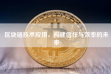 区块链技术应用，构建信任与效率的未来