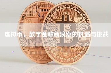 虚拟币，数字金融新浪潮的机遇与挑战