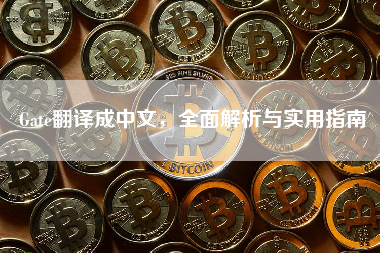 Gate翻译成中文，全面解析与实用指南