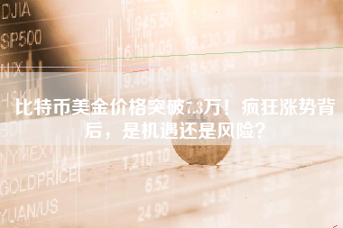 比特币美金价格突破7.3万！疯狂涨势背后，是机遇还是风险？