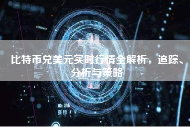 比特币兑美元实时行情全解析，追踪、分析与策略