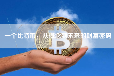 一个比特币，从概念到未来的财富密码