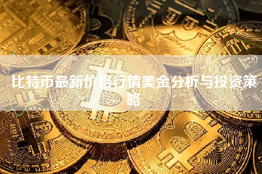 比特币最新价格行情美金分析与投资策略