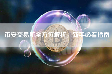 币安交易所全方位解析，新手必看指南