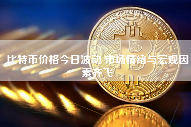 比特币价格今日波动 市场情绪与宏观因素齐飞