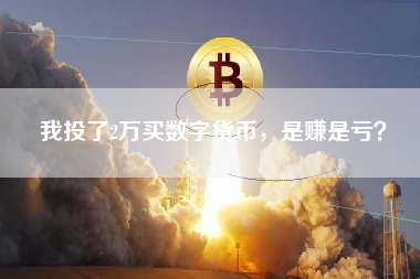 我投了2万买数字货币，是赚是亏？