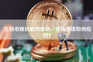 比特币现价剧烈波动，投资者该如何应对？