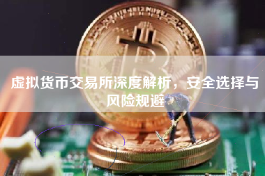 虚拟货币交易所深度解析，安全选择与风险规避