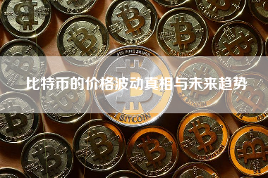 比特币的价格波动真相与未来趋势