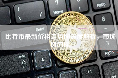 比特币最新价格走势图深度解析，市场风向标