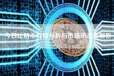 今日比特币行情分析与市场动态全解析