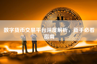数字货币交易平台深度解析，新手必看指南