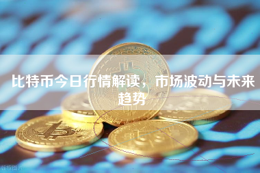 比特币今日行情解读，市场波动与未来趋势