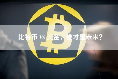 比特币 VS 美金，谁才是未来？